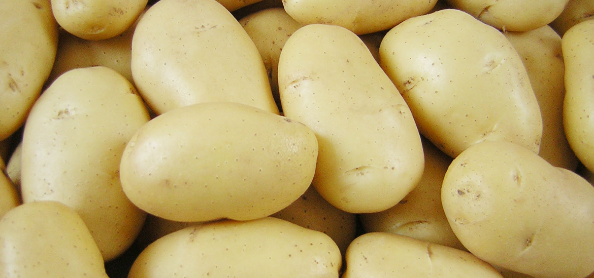 Yemeklik Patates